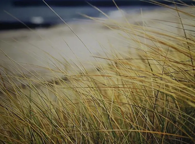 Ninas - Exklusiv Fuer Frauen Bremen